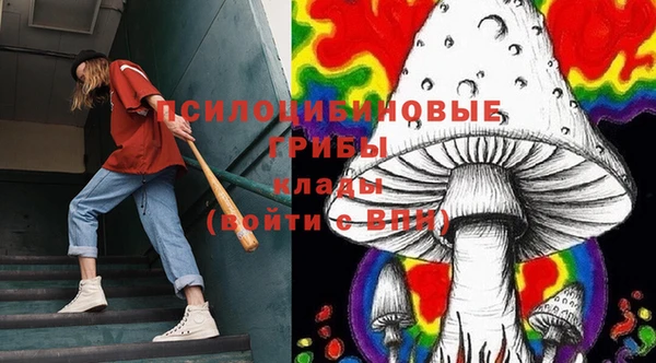 бошки Алексеевка