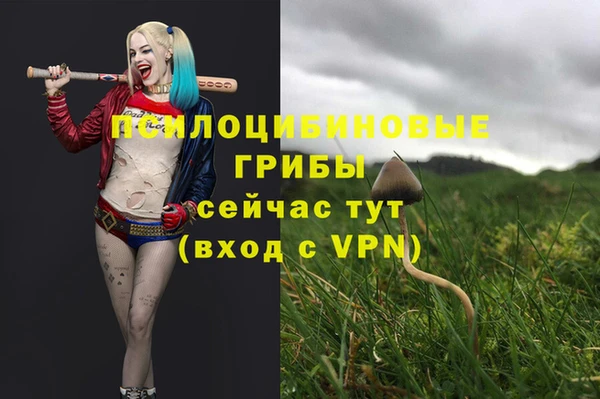скорость Алзамай