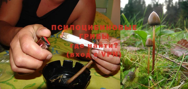 синтетический гашиш Алексин