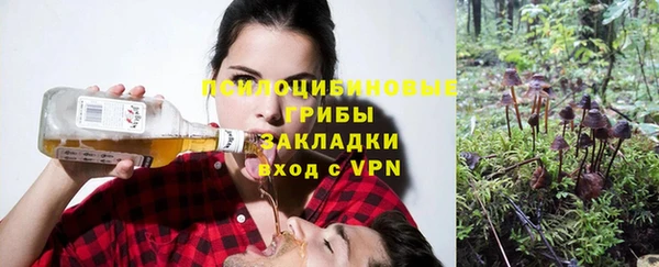 синтетический гашиш Алексин