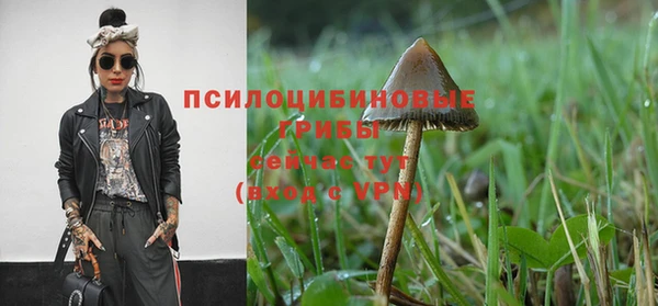 бошки Алексеевка